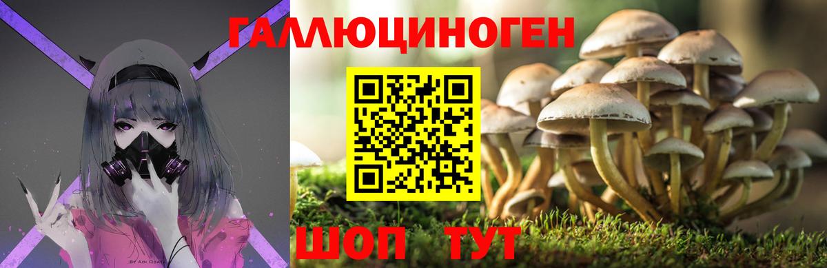 Псилоцибиновые грибы Psilocybe  Вход с VPN  Ревда 